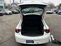 Opel Insignia GS 1,6 CDTI BlueInjection Ultimate St./St. Weiß - thumbnail 13