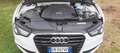 Audi A5 A5 Coupe 3.0 V6 tdi Adv quattro s-tronic s-line Bianco - thumbnail 13