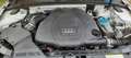 Audi A5 A5 Coupe 3.0 V6 tdi Adv quattro s-tronic s-line Bianco - thumbnail 14