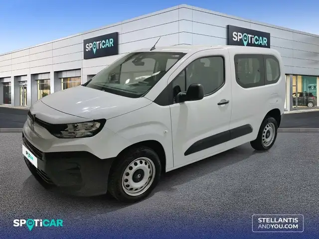Citroen Berlingo Talla M BlueHDi 100 S&S You