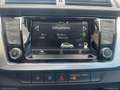 Skoda Fabia 1.0 MPI 60 CV Twin Color D.E. Arg. - 2017 Blu/Azzurro - thumbnail 20