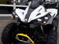 Can-Am Renegade 650 T ABS Grau - thumbnail 17