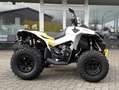Can-Am Renegade 650 T ABS Grau - thumbnail 10