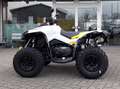 Can-Am Renegade 650 T ABS Grau - thumbnail 14