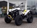 Can-Am Renegade 650 T ABS Grau - thumbnail 12