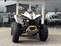Can-Am Renegade 650 T ABS Grau - thumbnail 9