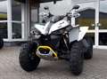 Can-Am Renegade 650 T ABS Grau - thumbnail 8