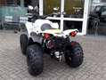 Can-Am Renegade 650 T ABS Grau - thumbnail 15