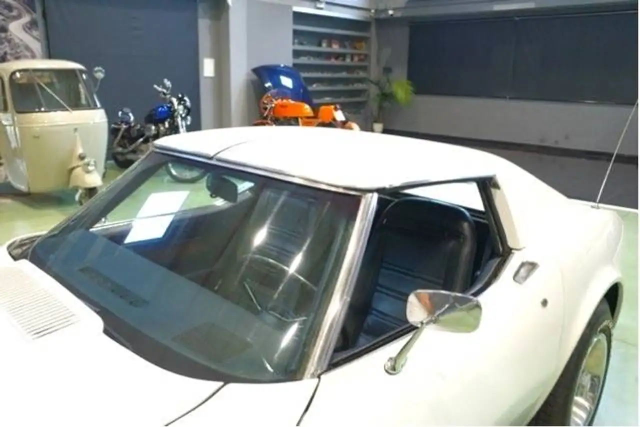 Chevrolet Corvette STINGREY Z37, foto 9
