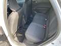 Mitsubishi Grandis 1,3 Petrol Invite C 26 Vorführwagen Weiß - thumbnail 13