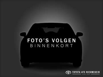 2.5 Hybrid Active Plus |  Volledig leer | electr.