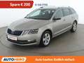 Skoda Octavia 1.6 TDI Style Grau - thumbnail 1