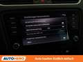 Skoda Octavia 1.6 TDI Style Grau - thumbnail 27