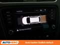 Skoda Octavia 1.6 TDI Style Grau - thumbnail 22