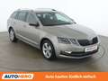 Skoda Octavia 1.6 TDI Style Grau - thumbnail 8