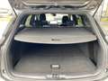 Ford Focus Turnier 1,0 mHEV ST-Line Aut. | +DriveAssistPack Grau - thumbnail 23