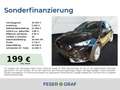CUPRA Formentor 2.0 TSI Tiptronic R-KAMERA/NAVI/SHZ Schwarz - thumbnail 1