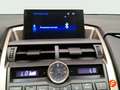 Lexus NX 300h 2.5 Business 2WD Negro - thumbnail 11