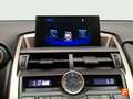 Lexus NX 300h 2.5 Business 2WD Negro - thumbnail 13