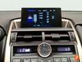 Lexus NX 300h 2.5 Business 2WD Negro - thumbnail 14