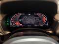 BMW X4 xDrive 20i M Sport~KAMERA 360~LED~LEDER~HiFi Gris - thumbnail 20