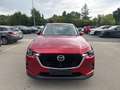Mazda CX-60 Exclusive-line+ Panoramic sunroof - thumbnail 5