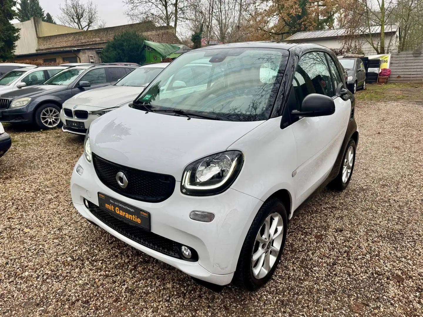 smart forTwo Euro 6 Klima15 Zoll Alu Panorama  II.Hand 5-Gang Blanc - 1