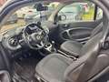 smart forTwo Euro 6 Klima15 Zoll Alu Panorama  II.Hand 5-Gang Blanc - thumbnail 13