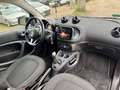 smart forTwo Euro 6 Klima15 Zoll Alu Panorama  II.Hand 5-Gang Blanc - thumbnail 11