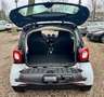 smart forTwo Euro 6 Klima15 Zoll Alu Panorama  II.Hand 5-Gang Blanc - thumbnail 14