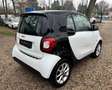smart forTwo Euro 6 Klima15 Zoll Alu Panorama  II.Hand 5-Gang Blanc - thumbnail 7
