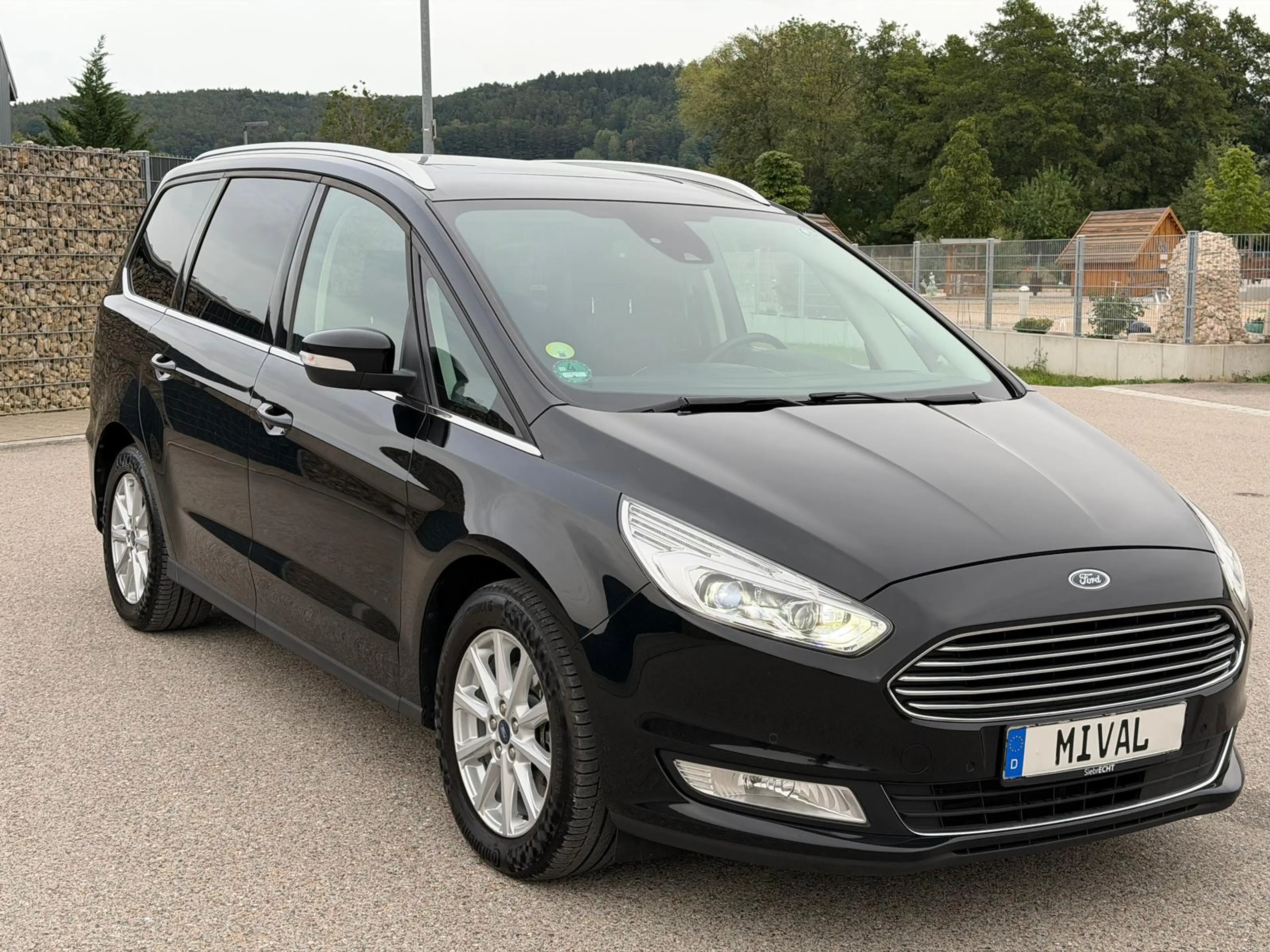 Ford Galaxy 2.0 EcoBlue Titanium/7Sitzer/Kamera/LED
