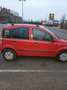 Fiat Panda 1.2 Young Rouge - thumbnail 7