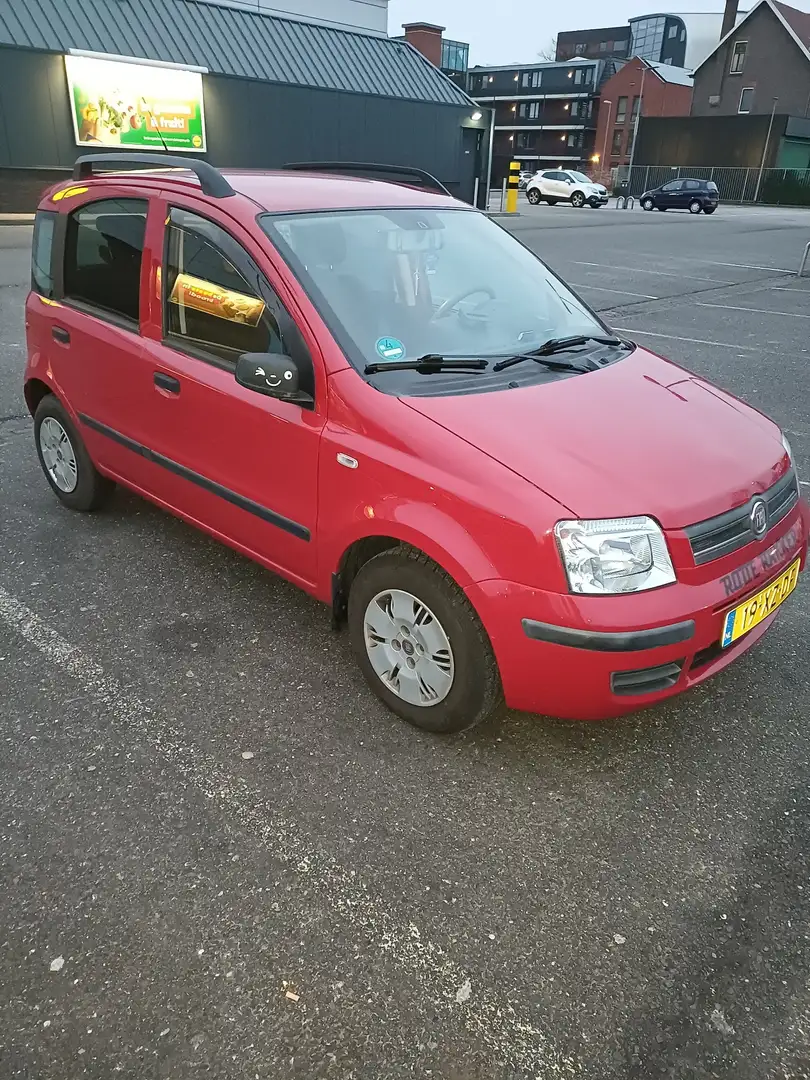 Fiat Panda 1.2 Young Rouge - 1