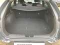 Kia ProCeed / pro_cee'd GT-Line 1.5 T-GDI DCT LED+NAVI+ACC+SHZ - thumbnail 12