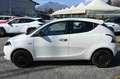 Lancia Ypsilon 1.0 firefly hybrid Silver Blanc - thumbnail 8