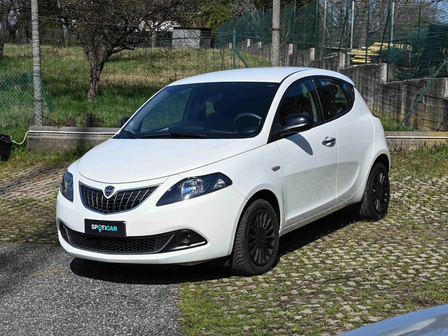 Lancia Ypsilon 1.0 firefly hybrid Silver Blanc - 1