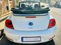 Volkswagen Beetle Beetle Cabrio 2.0 TSI R-Line DSG 210 R-Line Blanco - thumbnail 3