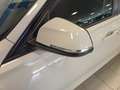 BMW 318 318d  Business Advantage aut. Blanco - thumbnail 29