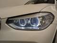 BMW X3 20D 2.0 190CV AUTOMATIC XDRIVE MSPORT Bianco - thumbnail 7