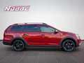Dacia Logan MCV TCe100 ECO-G Stepway *AHK+Allwetter* Rosso - thumbnail 6