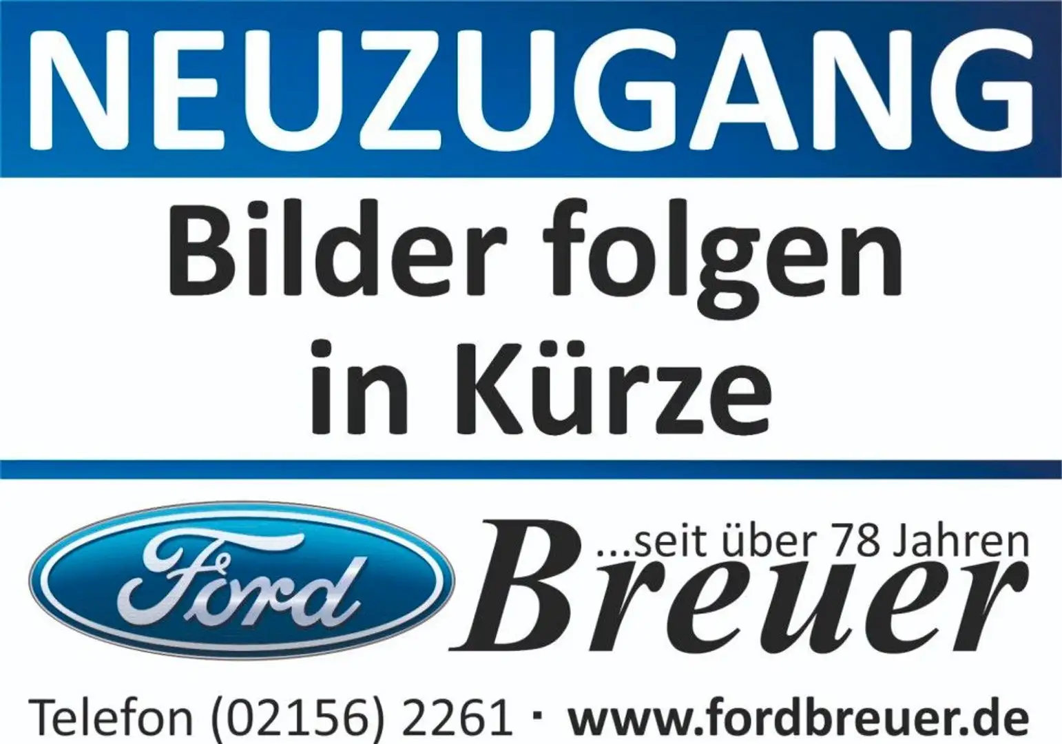 Ford EcoSport Titanium Schiebedach Automatik 17 Zoll Grau - 1