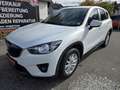 Mazda CX-5 CD150 Attraction*Erstbesitz Weiß - thumbnail 1