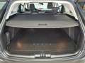 Ford Focus Kombi Active1.5 EcoBlue, AHK, ACC, Winter-Paket Grau - thumbnail 12