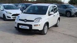 Fiat Panda 1.0Hybrid Firefly 70cv Buono