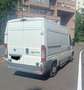 Fiat Ducato Natural Power 3.0 Metano - thumbnail 3