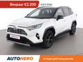 Toyota RAV 4 2.5 Hybrid 4x4 Lounge Wit - thumbnail 1