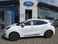 Ford Puma 1.0 Ecoboost Hybrid ST-Line +Kamera+Navi+ACC+TW Bianco - thumbnail 2