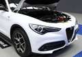 Alfa Romeo Stelvio 2.2 Sprint RWD 190 Aut. Blanco - thumbnail 36