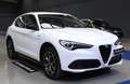 Alfa Romeo Stelvio 2.2 Sprint RWD 190 Aut. Blanco - thumbnail 2